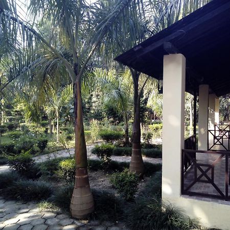 Rhino Lodge Bardia Pvt Ltd バルディヤ エクステリア 写真