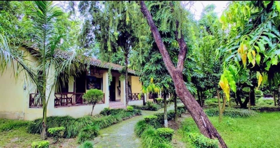Rhino Lodge Bardia Pvt Ltd バルディヤ エクステリア 写真