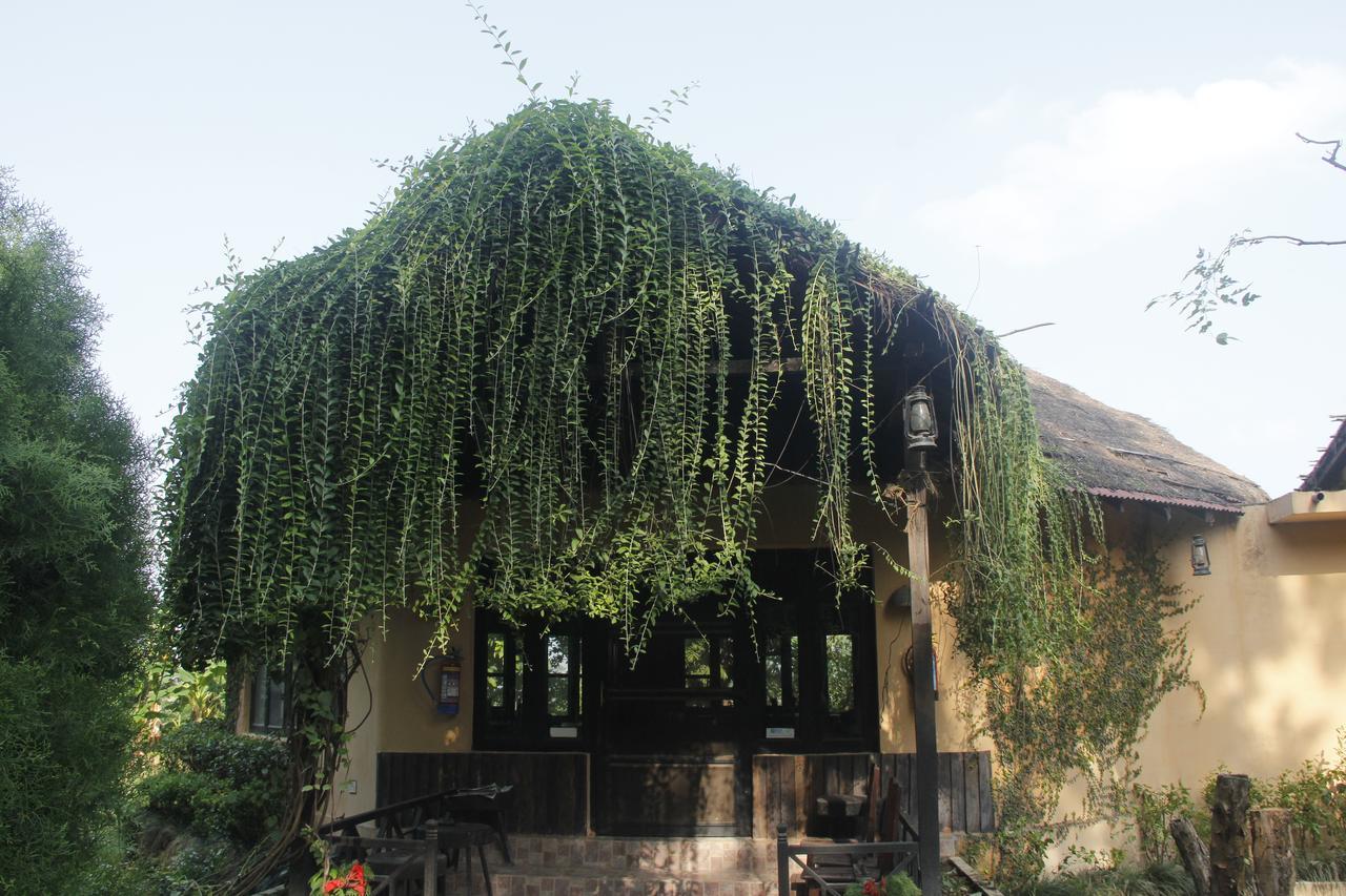 Rhino Lodge Bardia Pvt Ltd バルディヤ エクステリア 写真