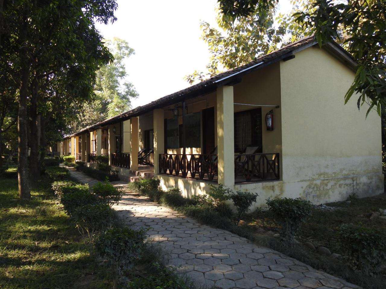 Rhino Lodge Bardia Pvt Ltd バルディヤ エクステリア 写真