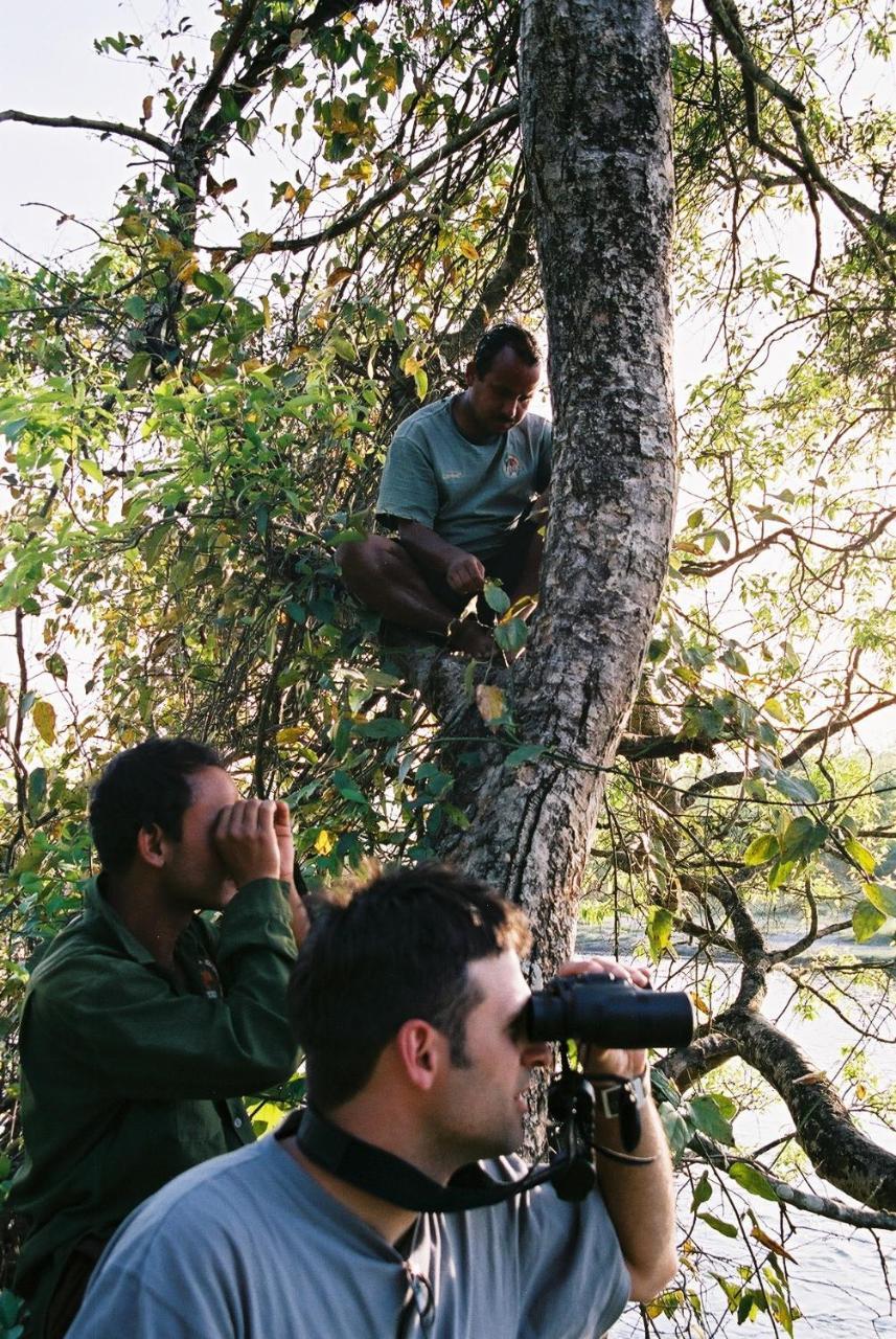 Rhino Lodge Bardia Pvt Ltd バルディヤ エクステリア 写真