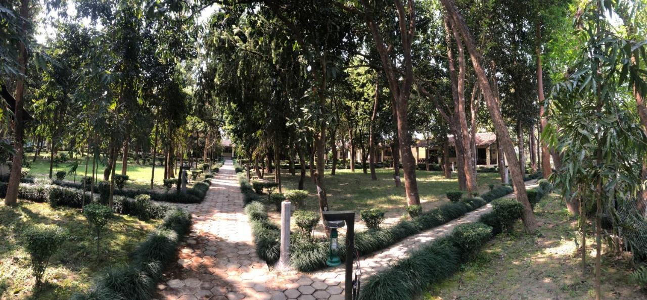 Rhino Lodge Bardia Pvt Ltd バルディヤ エクステリア 写真