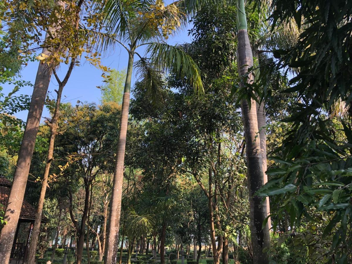 Rhino Lodge Bardia Pvt Ltd バルディヤ エクステリア 写真