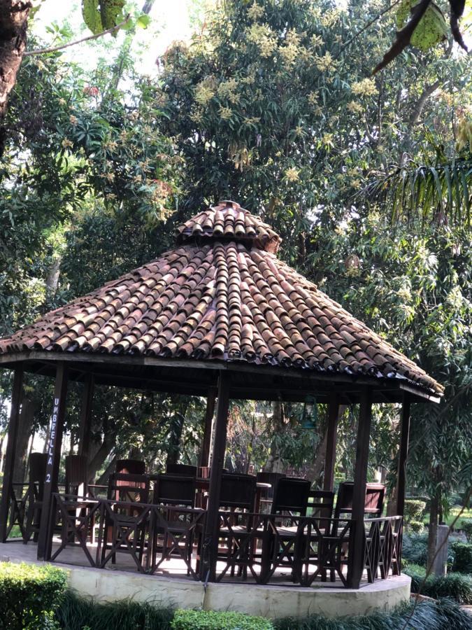 Rhino Lodge Bardia Pvt Ltd バルディヤ エクステリア 写真
